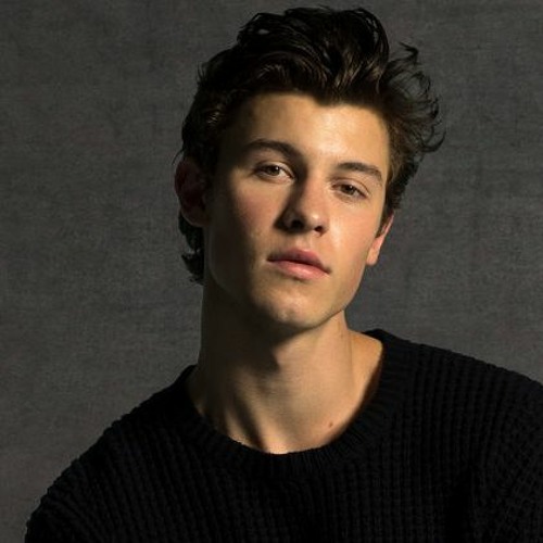 Shawn Mendes - If I Can't Have You (Loop Linguist flip)