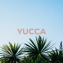 Angara Tape #2 - Yucca