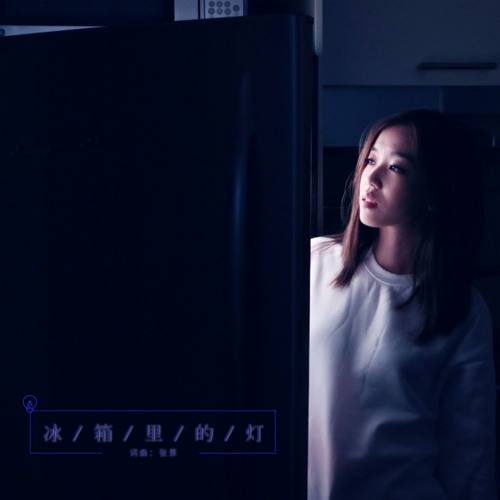 冰箱里的灯 | The Light in the Fridge