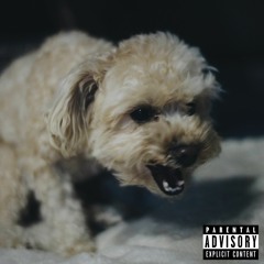 avgsean - bones & gold teeth (prod. K0NUR)