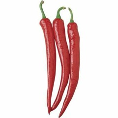 Pepper
