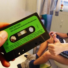 Eine Katze (viele Haare)