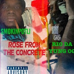 Smokinpotli x Rio Da Yung Og "Rose from the concrete"
