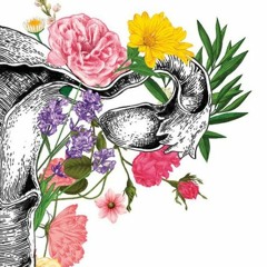 ¿Qué provoca el cáncer de ovario? por el oncólogo: César Hernández