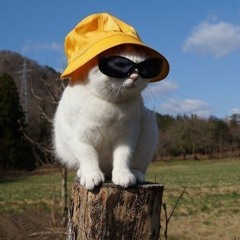 pussy killer 2007(Majko sample challenge)