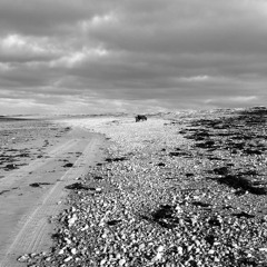 Figure-Ground (short version)