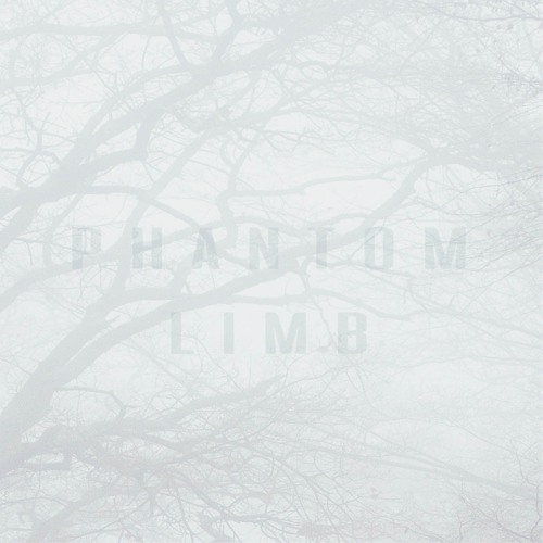 Phantom Limb feat. Mikae