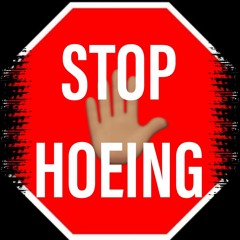 Stop Snitching (YUNGA MIX) Stop Hoeing