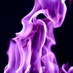 is this bitch serious?