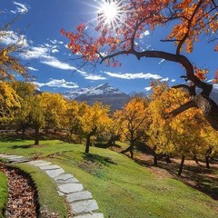 New Burushaski Bazam  Bareiba Kay  Azeem Hunzai  Muneem Hunzai  Lyrics Sherbaz Hunzai