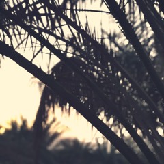 ظفر القليب تلاوة خاشعة