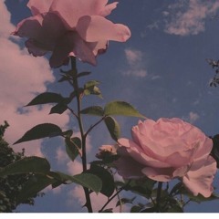 🌸not enough🌸 (Prod.spyder)