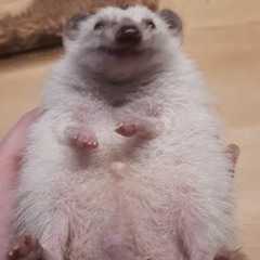 In progress im thinking hard about what to do with it