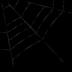 Spider [Prod. by Trippie]