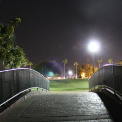 Bridges - PeaceLoveTakos (Original Mix)