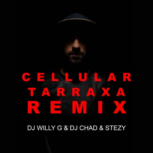 Cellular Remix (Tarraxo) - Dj Willy G & Dj Chad Stezy