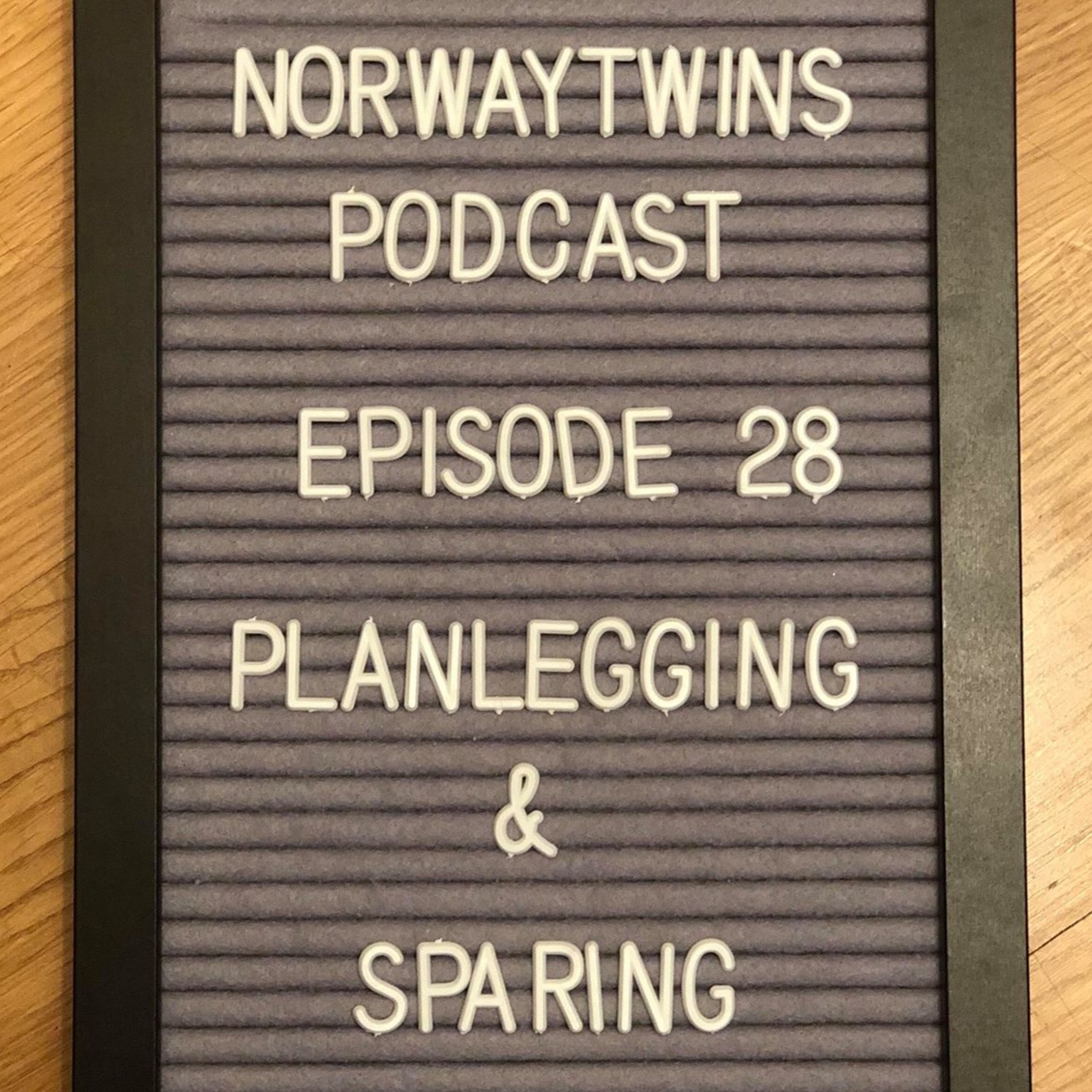 Norwaytwins om ting og tang