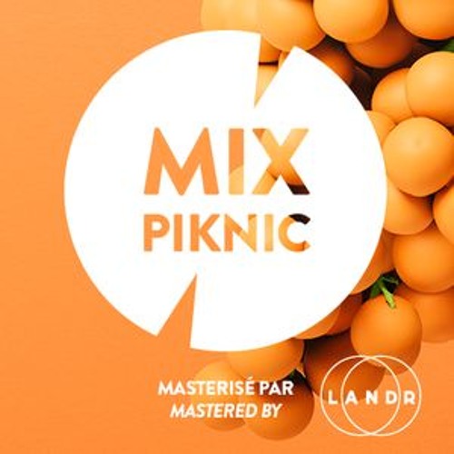 Piknic Electronik 2019