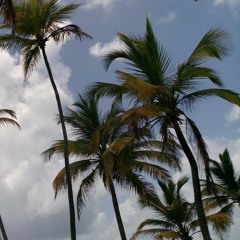 WINTER KUSH RIDDIM - dezignated - instr. draft 1 -.mp3