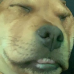 YUNGKIDZ FREESTYLE XoYoungprxnce FT. KidQuizz Dynasty Prod(KidQuizz)