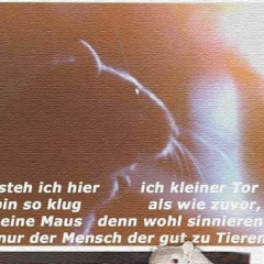 Ihr seid ja alle so scheiße