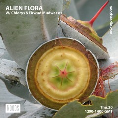 Alien Flora w/ Chlorys & Eirwud Mudwasser ─ Noods Radio (20.06.19)