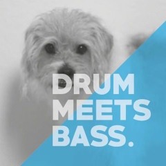 The Instinct - Drum meets Bass @ Nr.z.P