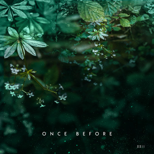 Daniel van der Zwaag - After a While (Original Mix)