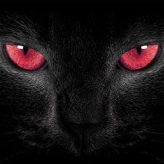 Rocket Progressive House mix