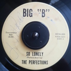 The Perfections - So Lonely - Big B