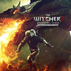 The Witcher 2 Score - The Assassin Looms (Extended)