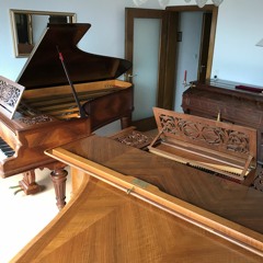 Camille Saint-Saens - "DANSE MACABRE" pour deux pianos