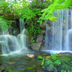 Entscheidungen fürs Leben