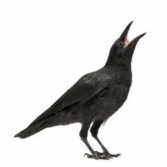 Gaze Long into an Abyss