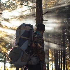 นักสะสม - Collector