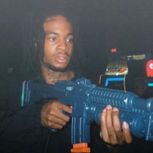 thouxanbanfauni - knowledge *snippet*