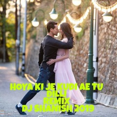 Hoya Ki je Kudi Ae Tu Dilli_Remix_DJShanish 2019.mp3