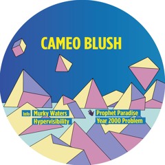 A2. Cameo Blush - Hypervisibility