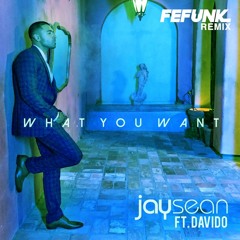 Jay Sean - What You Want (Fefunk Remix)