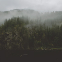 16yrold & NYQUILL - had2