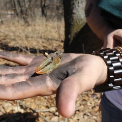 UNDERGROUND SUPPORT (JUNE 2019)