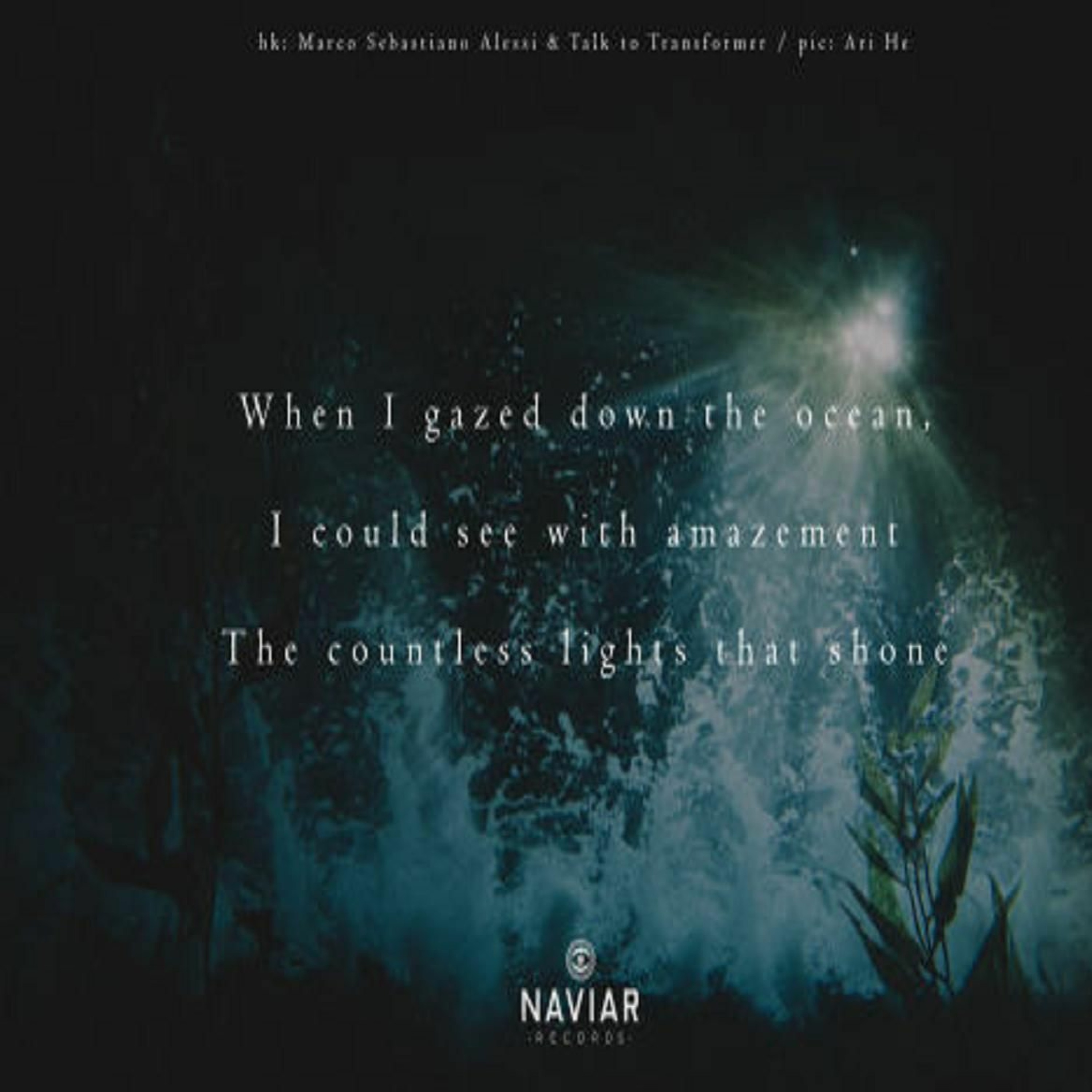 When I Gazed Down The Ocean, I Could See The Countless Lights That Shown (Naviarhaiku 286) episode artwork