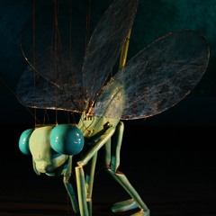 The Tightrope-walking Damselfly