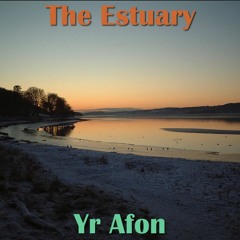 The Estuary / Yr Aber