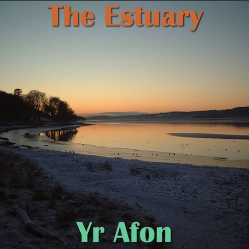 The Estuary / Yr Aber