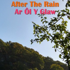 After The Rain / Ar Ôl Y Glaw