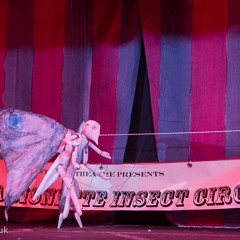 Butterfly Ballet