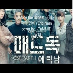 Before The Sunset (해가 지기 전에) - Eric Nam Cover By TaMMiE (탐미)