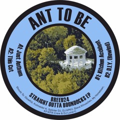 Ant To Be - Straight Outta Boondocks EP