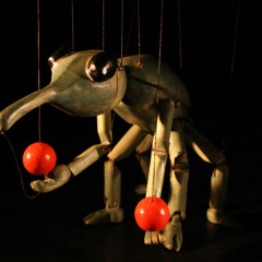 Juggling Weevil Waltz Musette